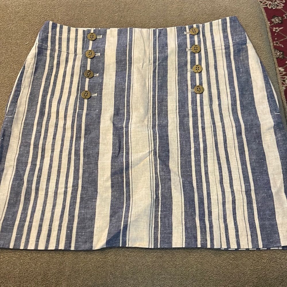 Banana Republic Heritage Collection Blue White Stripe Mini (TD)